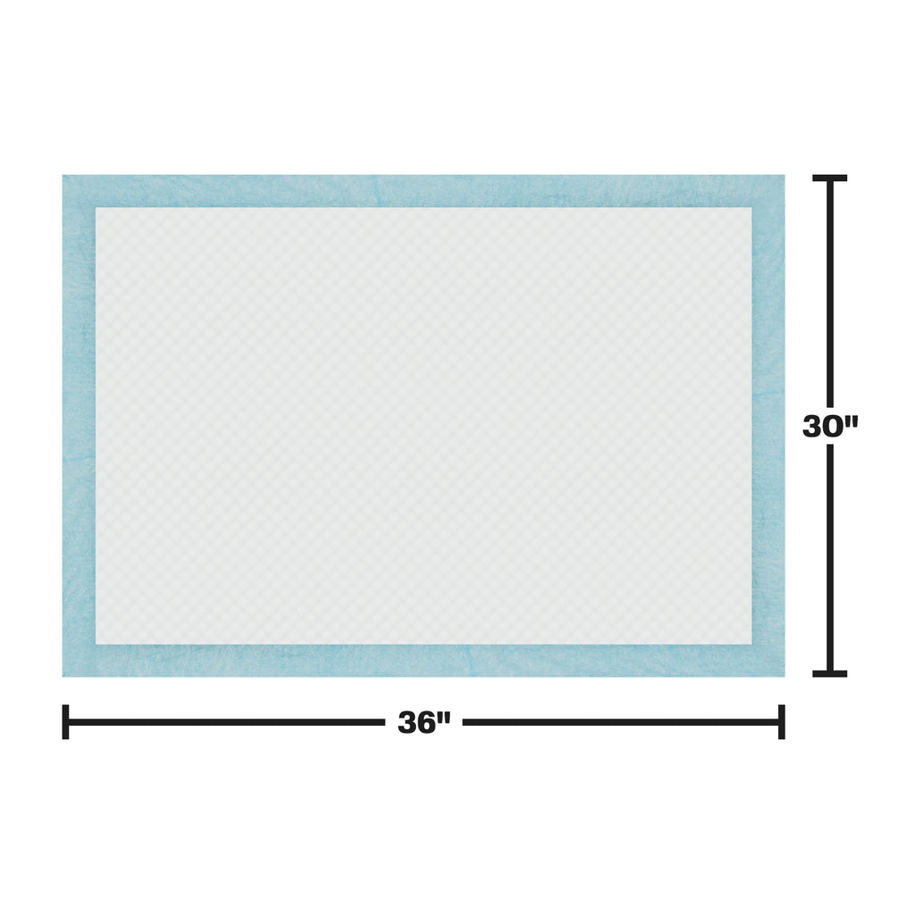 Training Pad Dimensions