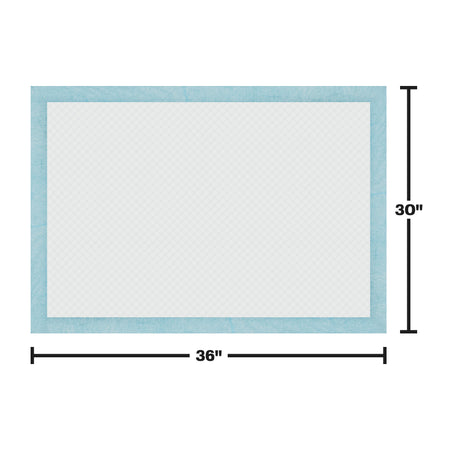 Training Pad Dimensions