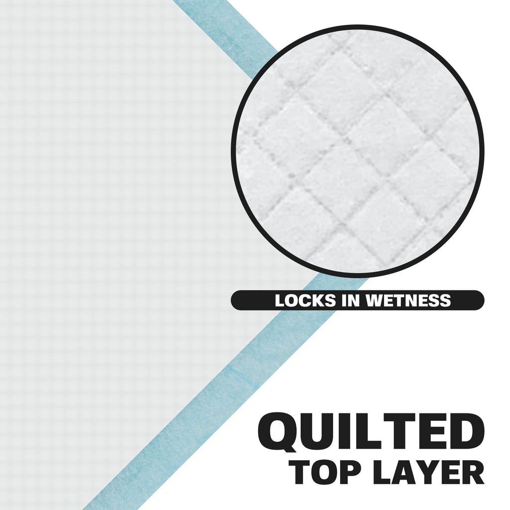 Training Pad Top Layer Locks in Wetness