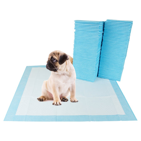 BV Pet Potty Training Pee Pads Demonstration