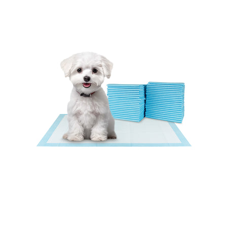 BV Pet Potty Training Pads - 17"x24", 50-Count 