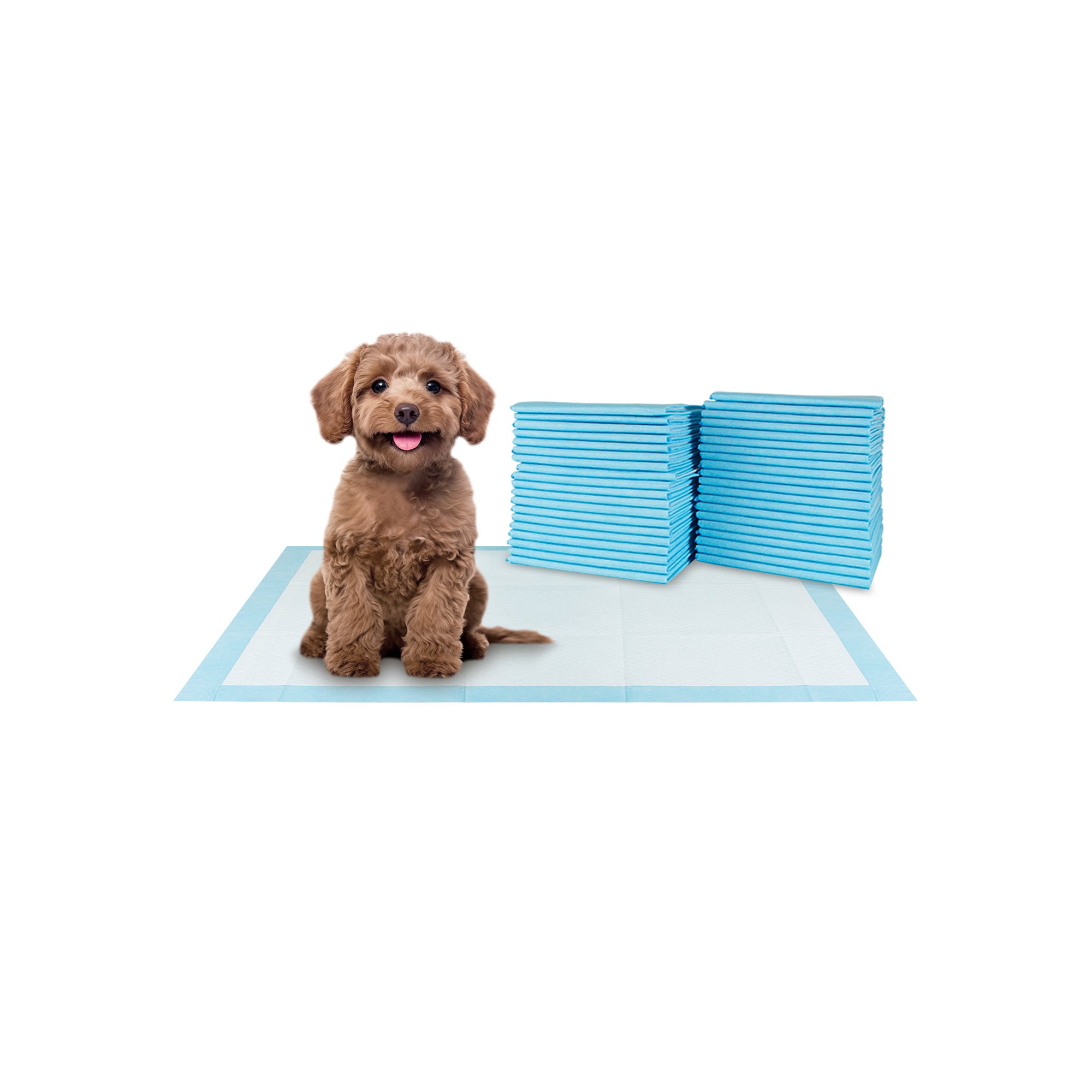 BV Pet Potty Training Pads - 17"x24" Training Pad, 100-Count