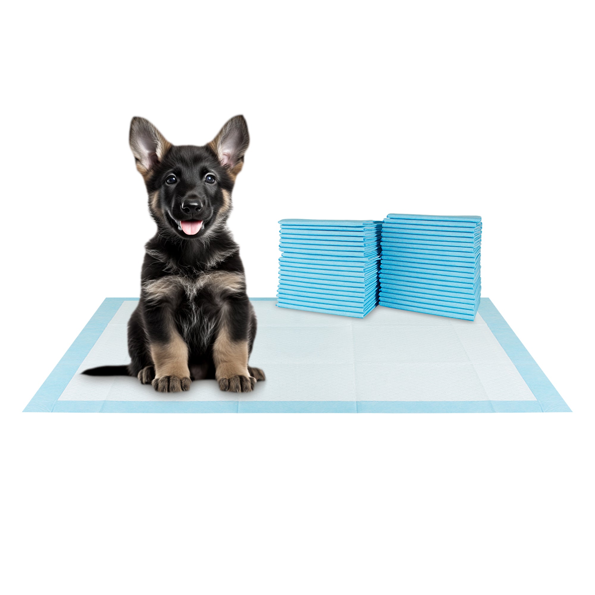 BV Pet Training Pads for Dogs, 30"x36" Training Pad, 20-Count