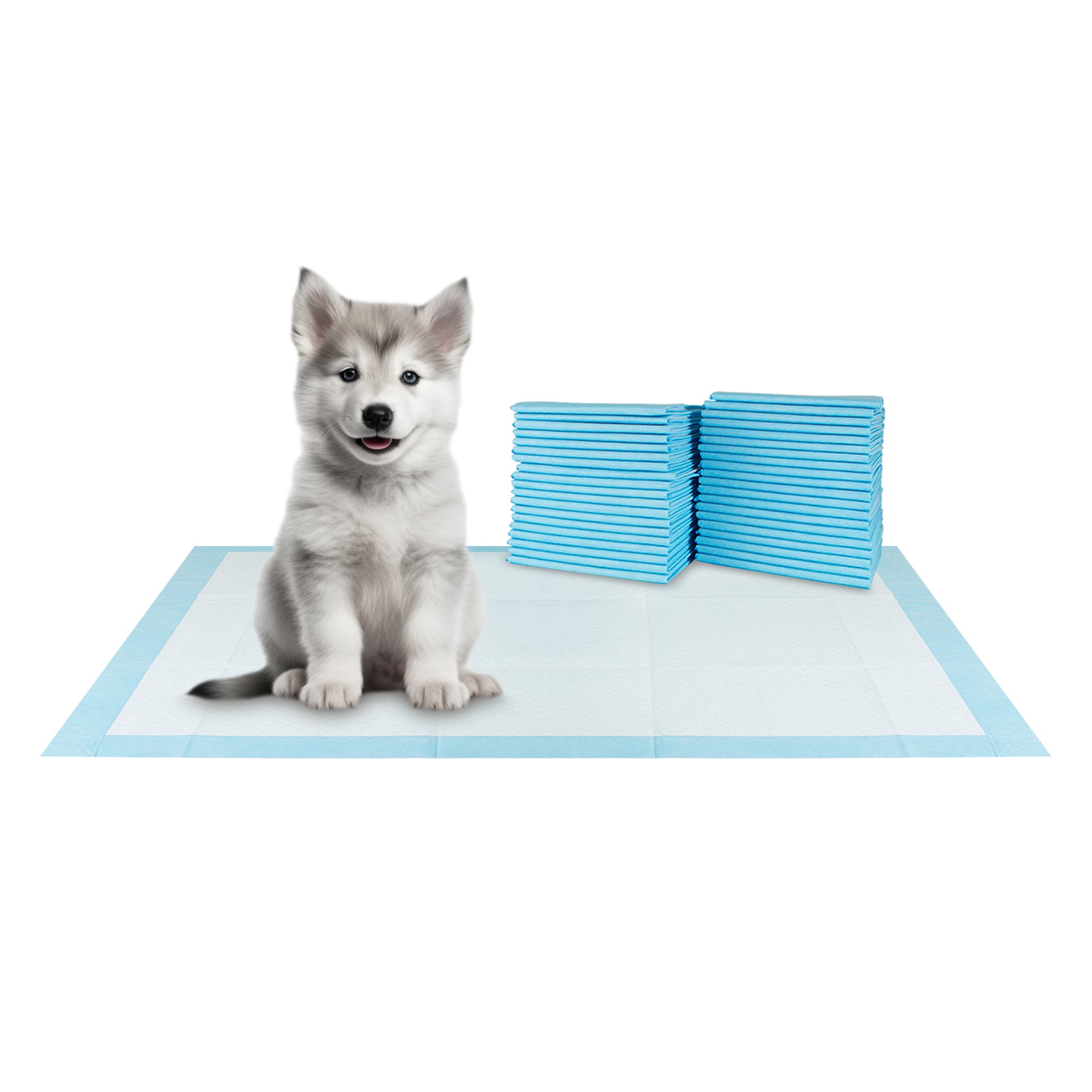 Pad Demonstration by Dog