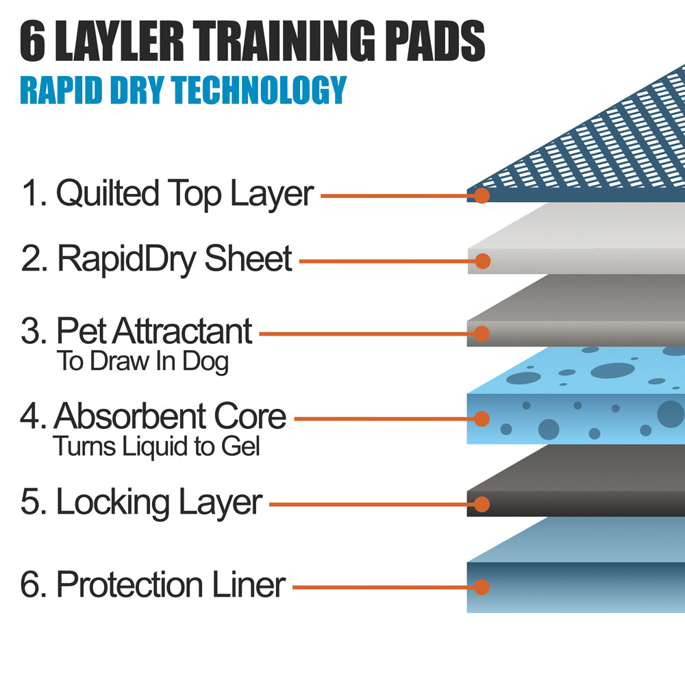 Features of the 6 Different Layers