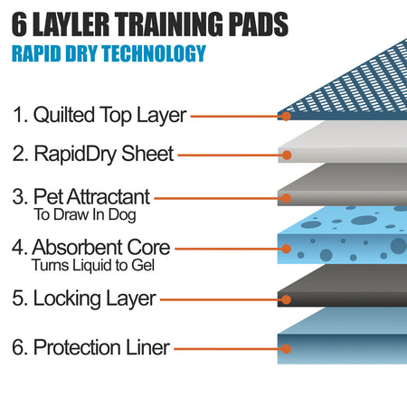 Features of the 6 Different Layers