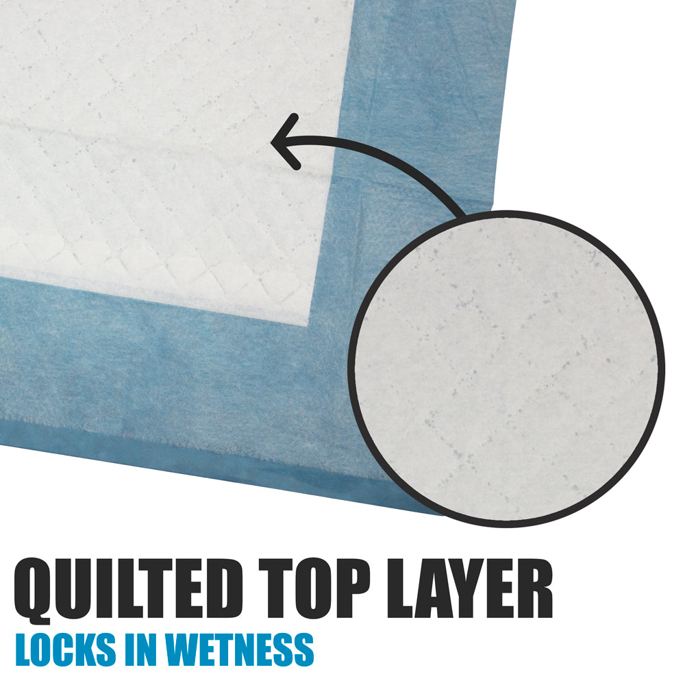 Potty Training Pads Top Layer