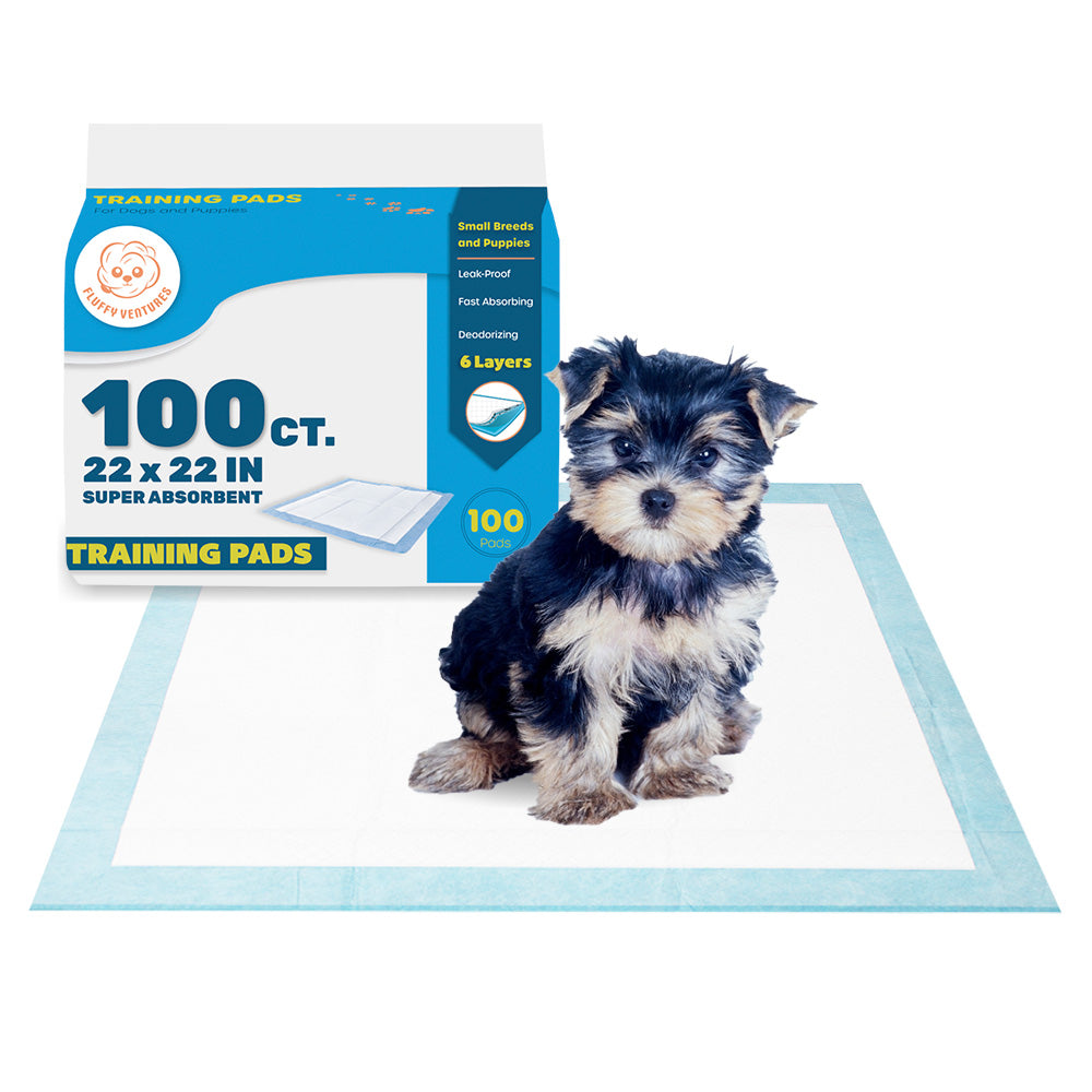 Pet Potty Training Pads - Demonstration