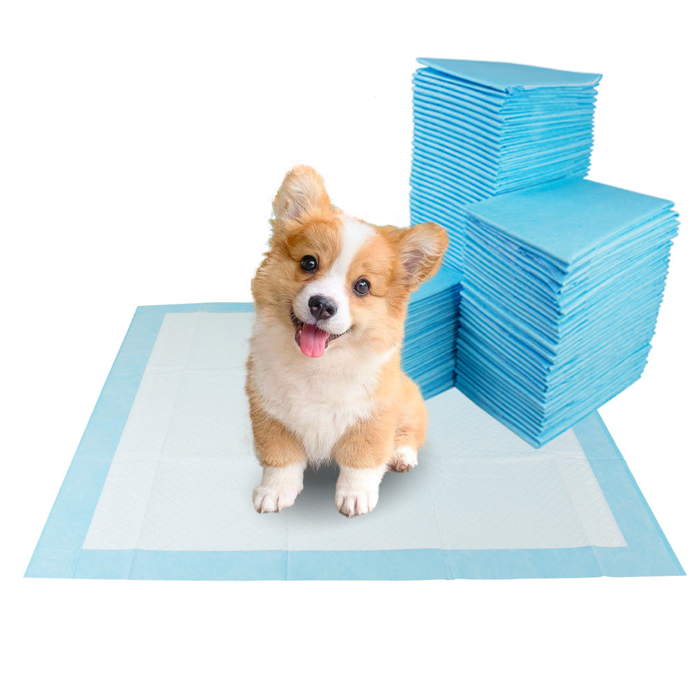 Fluffy Ventures Pet Potty Training Pee Pad