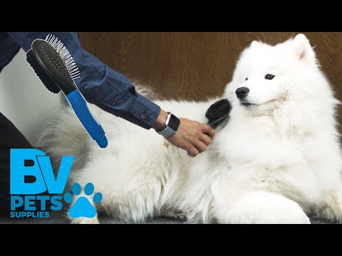 BV Pet Combination Grooming Brush