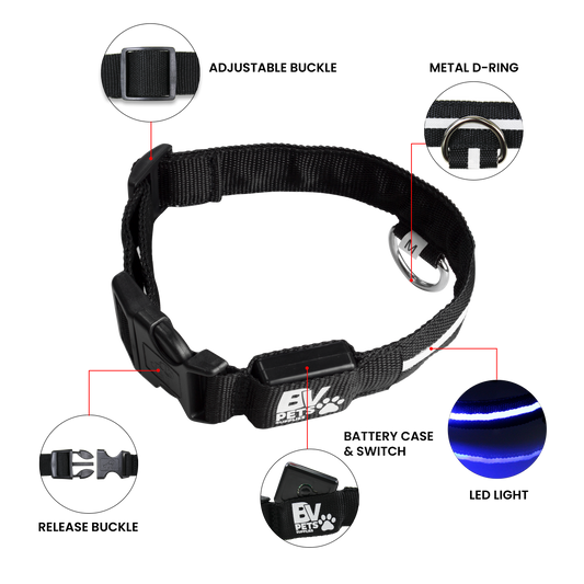 Dog Collar Parts and Features