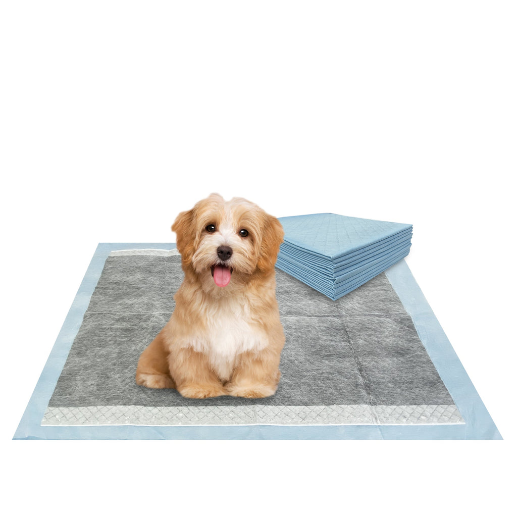 BV Pet Potty Training Pads - 22