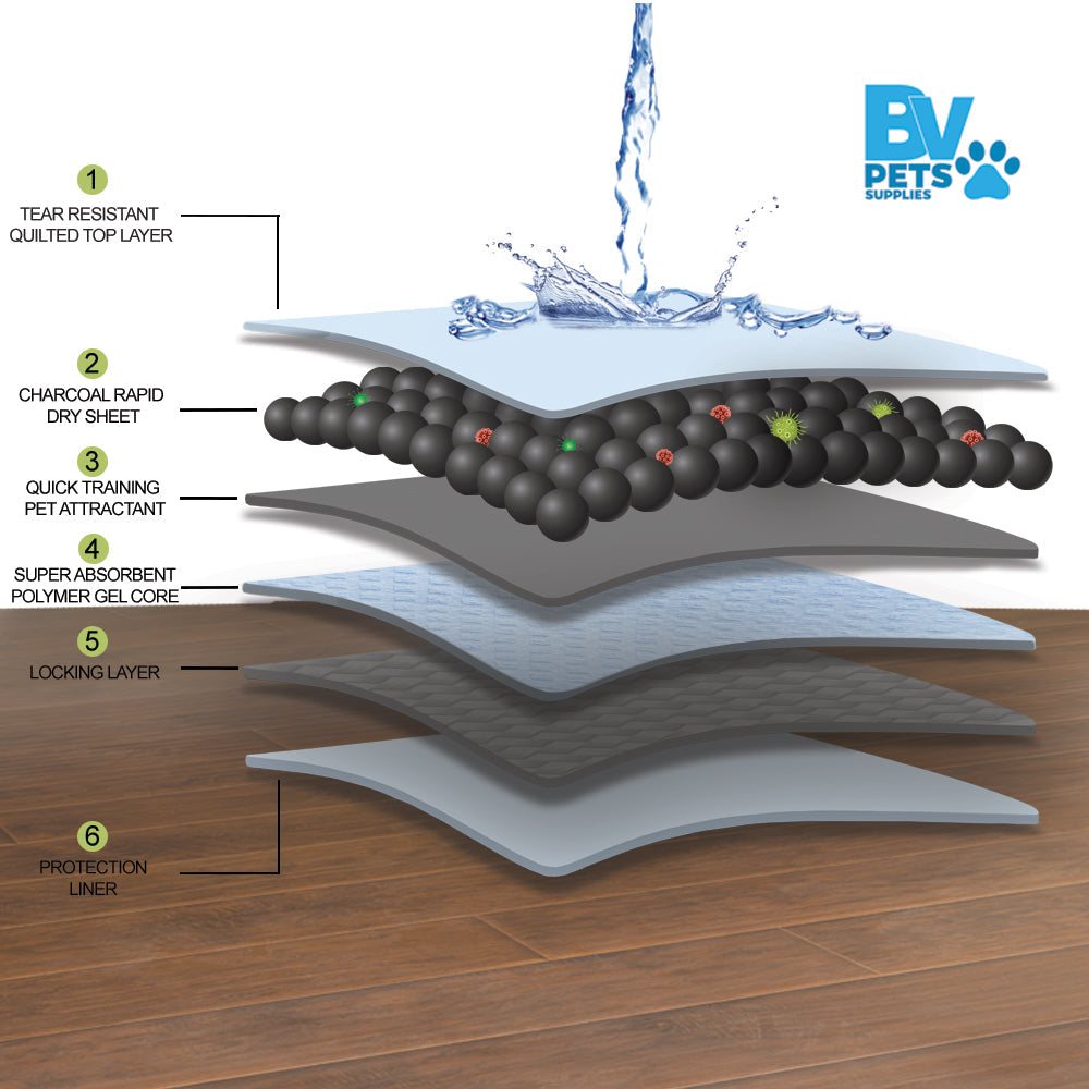 Infographic on the 6 Pee Pad Layers