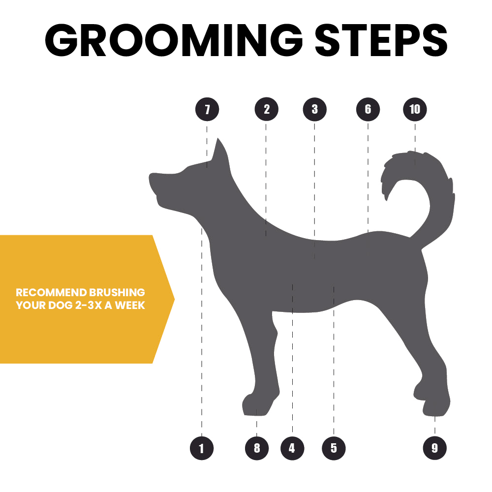 Grooming Steps for Brush Usage